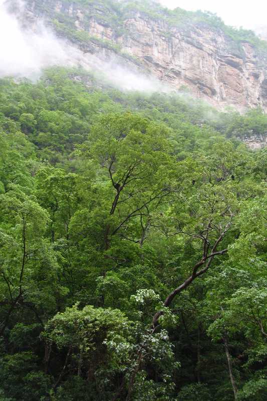 Mexico & Guatemala 2010 - 0359